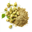 Hops Extract